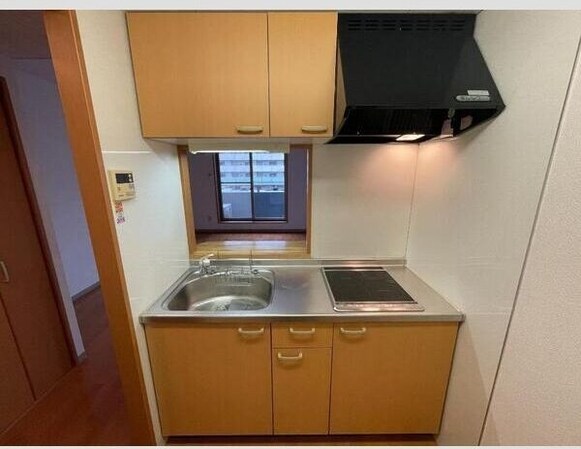 ラフィネ小鶴新田の物件内観写真